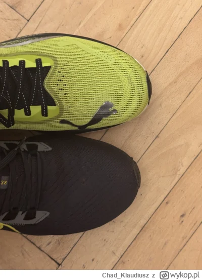 ChadKlaudiusz - @ChadKlaudiusz: tak wygląda różnica względem pegasusow w których norm...