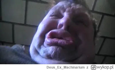 DeusExMachinarium - Do blobfisha pasuje