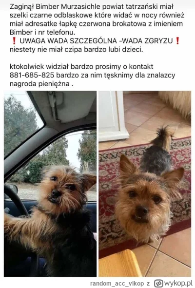 randomaccvikop - @kacpershot: Bimber Murzasichle Powiat Tatrzańśki