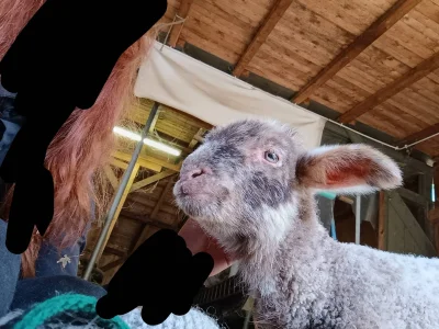 jutronaobiadznowuryz - Dzisiaj rano moja przyjaciółka wzięła i sobie zmarła. Przestał...