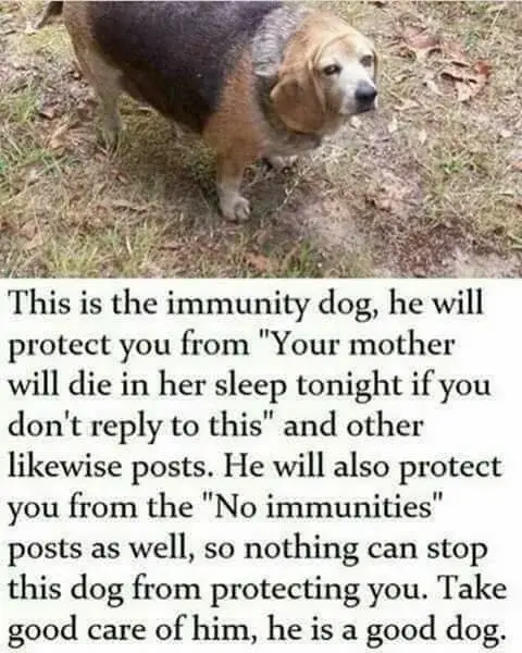 wolny_kot - @Bonzolog11: