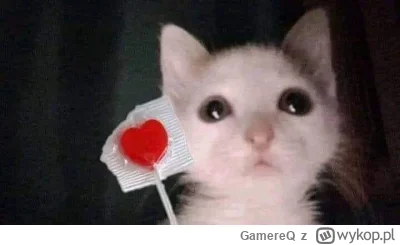 GamereQ - który z siedmiu grzechów głównych jest waszym zdaniem najgorszy?