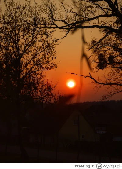 ThreeDog - @kidi1 Porównywać jakiegokolwiek iPhone do DSLR to jak porównywać g---o do...