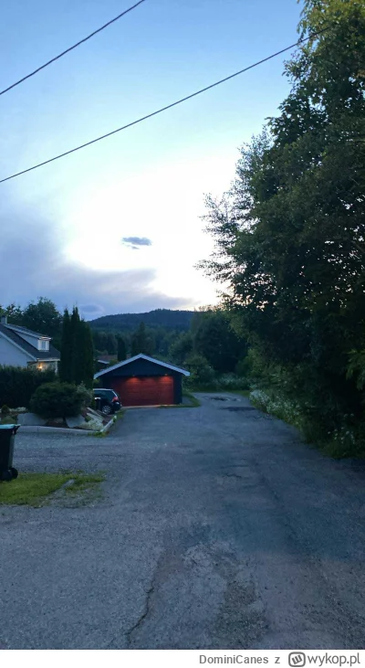 DominiCanes - Kiedy ciemno? ( ͡° ᴥ ͡°)