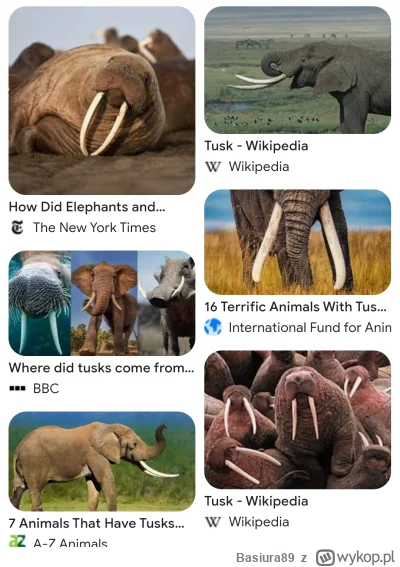 Basiura89 - @HrabiaTruposz: tymczasem Tusk w świecie przyrody ( ͡º ͜ʖ͡º)