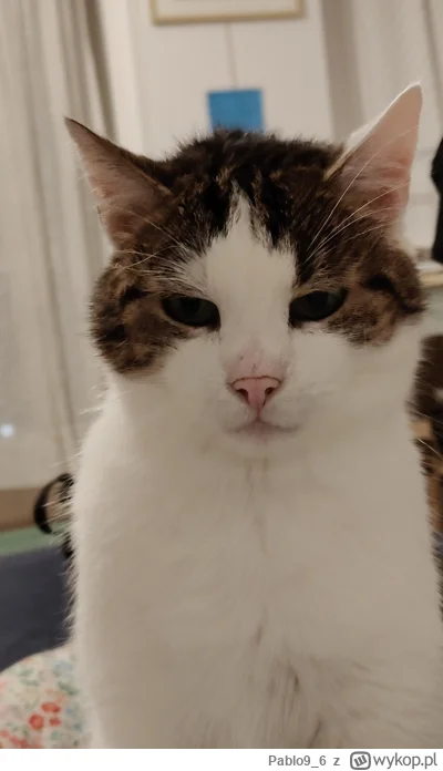 Pablo9_6 - @ev3r: aż się zawstydził (｡◕‿‿◕｡)