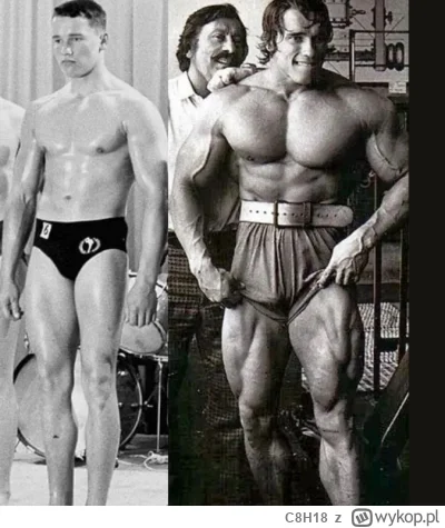 C8H18 - #heheszki #konfederacja
Młody Schwarzenegger wygląda jakby zastanawiał się na...