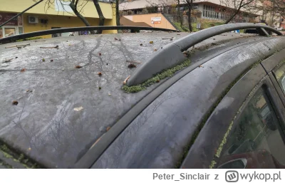 PeterSinclair - @PeterSinclair: