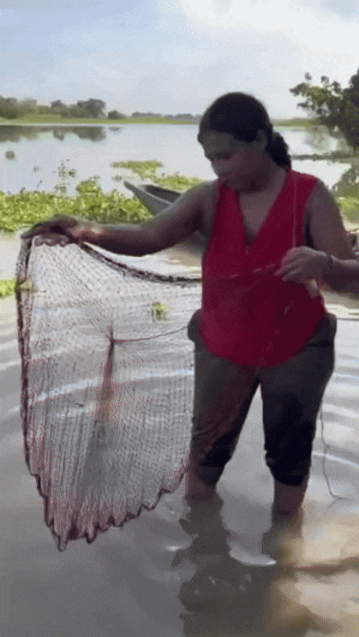 wfyokyga - Bonjour (dzień dobry po włoskiemu)