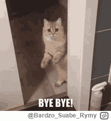 BardzoSuabeRymy - #awanturaokase DZIĘKUJĘ TAGOWI ZA TEN SEZON, DO ZOBACZENIA W KOLEJN...