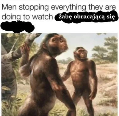 Uuroboros - >guziec, taka świnia ... z afryki

@Umeraczyk: