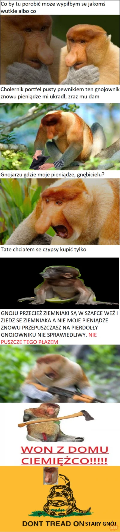 paczelok - #konkursnanajbardziejgownianymemznosaczem