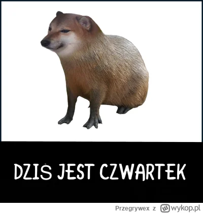Przegrywex - #heheszki #wtf #przegryw