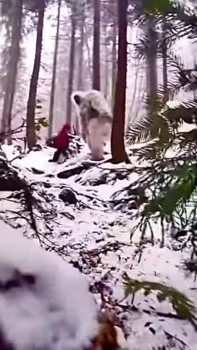 MichalCoSieWPorySkichal