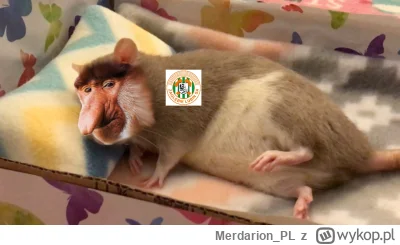 Merdarion_PL - #mecz #dolnoslaskitygrys przekazuje wiedze, która pomogłaby uniknąć dz...
