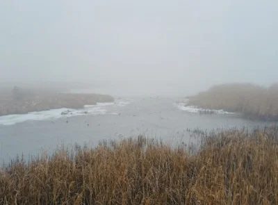 chigcht - #przegryw #spierdotrip