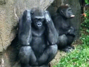 wfyokyga - Monke p----------o