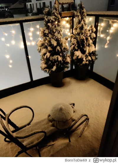 BornToDie69 - Ehh Zapomniałem zdjąć pokrywke na solnik :( #kapitanbomba #swieta