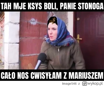 Image546 - #kononowicz #patostreamy #szkolna17 #mlecznyczlowiek #youtube #krzyzowa #z...