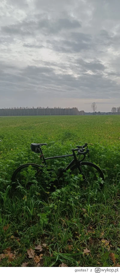 goofas7 - 351 861 + 75 + 44 + 63 + 125 + 41 + 44 + 52 + 121 + 75 + 74 = 352 575

Udał...