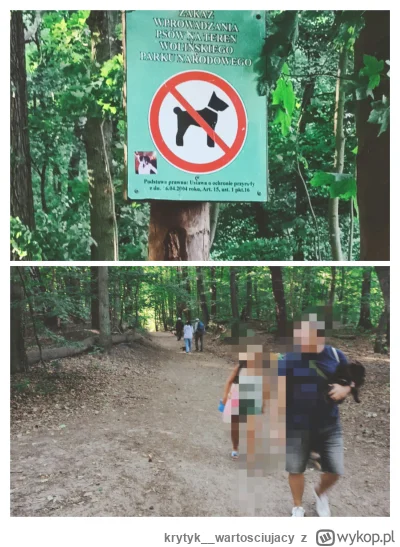 krytyk__wartosciujacy - No to mi się kumulacja trafiła.. 4 #psy w parku narodowym na ...