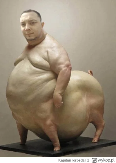 KapitanTorpedal - Powiedzieli, że to hotel dla ludzi, a oni traktują nas jak zwierzęt...