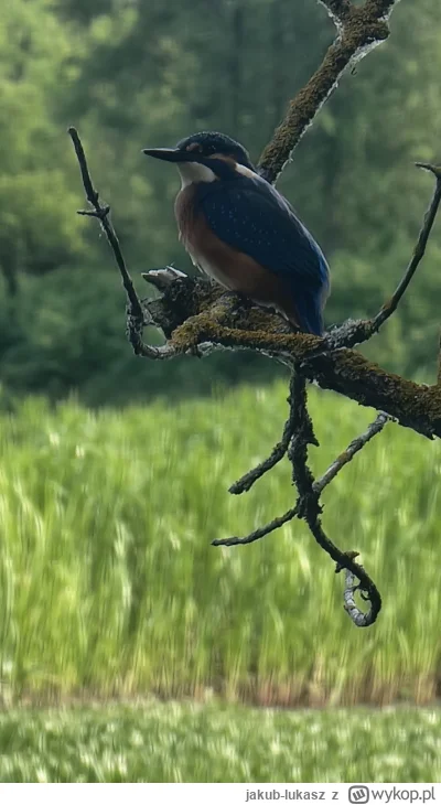 jakub-lukasz - @witajswiecie