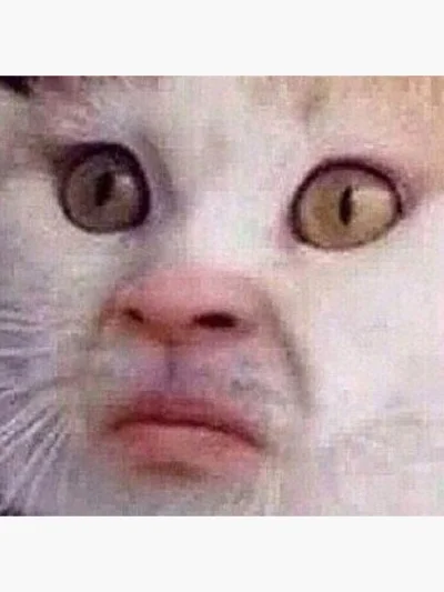 Mega_Smieszek - Ja za każdym razem jak pomyślę, że ktoś ogląda polską ligę 

#mecz