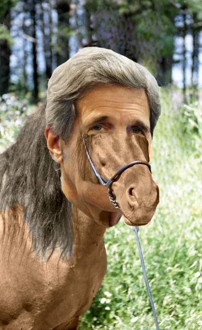 lekarzoperatorkolonoskopu - Kerry horse head
