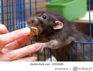 jmateuszj - #gielda #meczennicyxtb #xtb Wczoraj założone konto na XTB, można powiedzi...