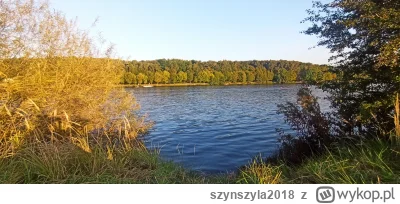 szynszyla2018 - Pięknie dziś na dolinie (｡◕‿‿◕｡) #katowice