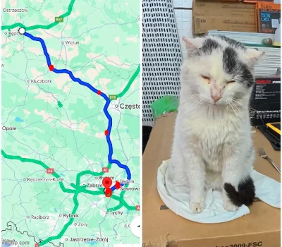 siekieromotyka - #odyn #korsir #pasta
Nie ma takiego dowodu powtarzam jeszcze raz. Je...