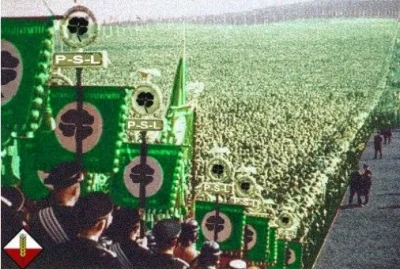 djtartini1 - @troglodyta_erudyta: Tylko Narodowy Agraryzm