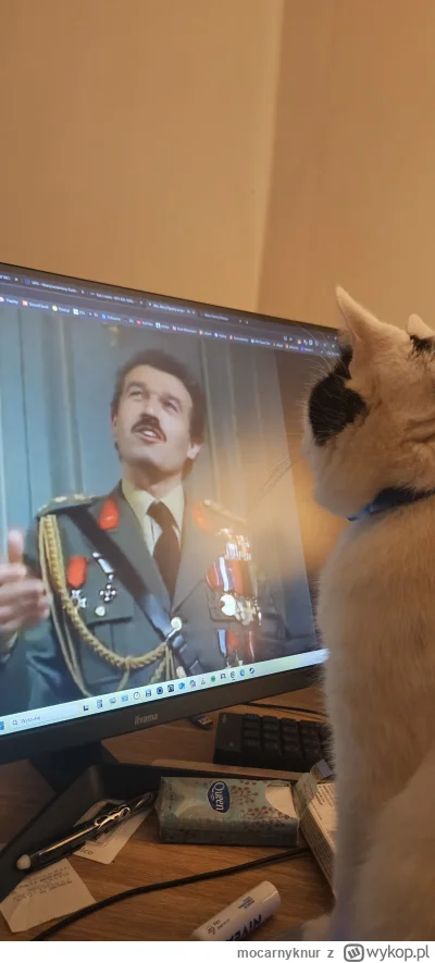 mocarnyknur - #kitku #koty #pokazkota

Oglądamy ( ͡º ͜ʖ͡º)