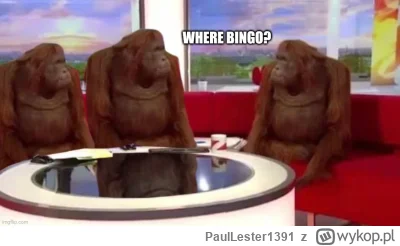 PaulLester1391 - #debata