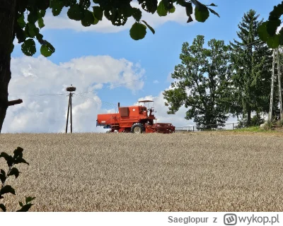 Saeglopur - Daj mu M I O D U
#bizon #rolnictwo #zniwa #wies