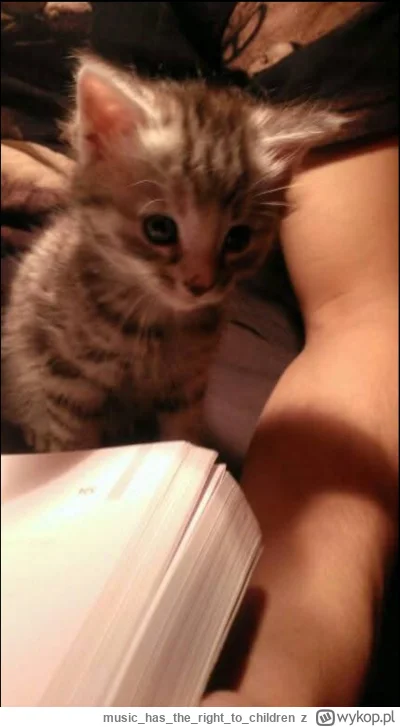 musichastherightto_children - @AnulkaS34d Dziubek urodziła się dziewczynką, także poz...