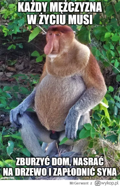 MrGerwant - #konkursnanajbardziejgownianymemznosaczem nie wiem dlaczego, ale się domy...