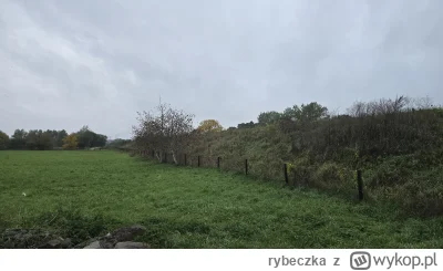 rybeczka - @rybeczka