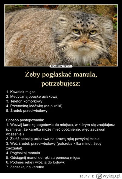 za017 - Aż mi się przypomniało...