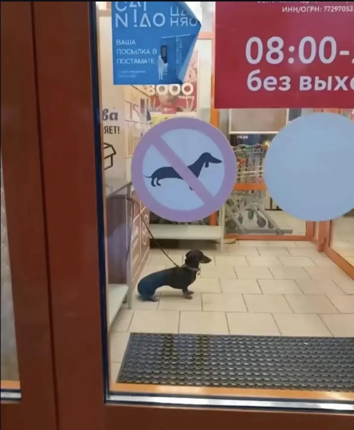 wfyokyga - Zakaz paruwku