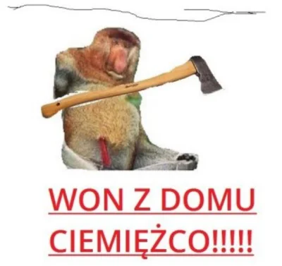 thority - @Markowowski: