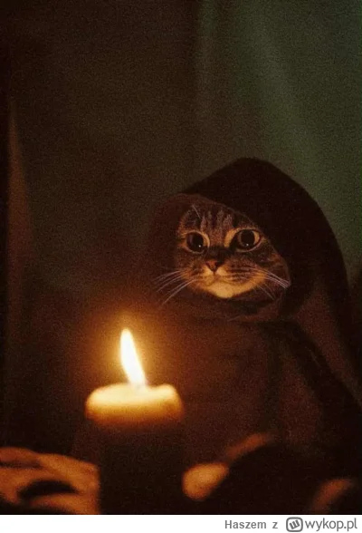 Haszem - @------------------: Jak kaloryczny jest taki kot? Jaką ma energię grzewczą ...