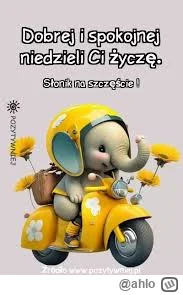 ahlo - @Gieremek: Dziękuję Gieremku