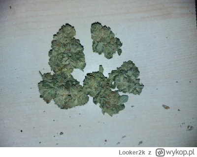 Looker2k - wygląda to wam bardziej na sativie czy indice? #marihuana #wykopjointclub