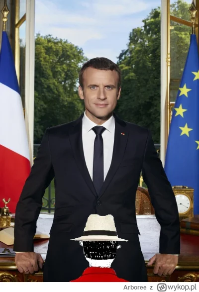 Arboree - #napierala