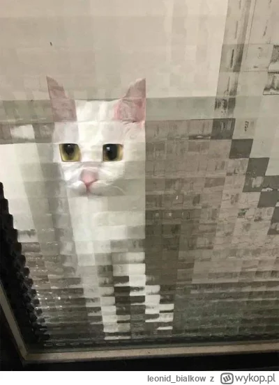 leonid_bialkow - @wfyokyga: nie przeszkadzaj mie