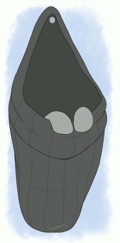 EmirKomunyBananowej - @Naczelny_Cenzopapista: Nietoperzokuce zawsze na propsie