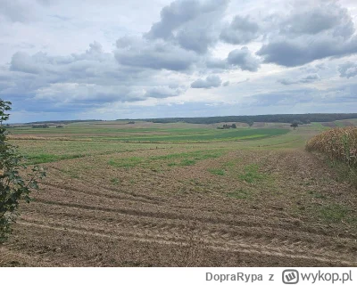 DopraRypa - 750 153 + 171 = 750 324

Niedzielne kwadratobranie.

Total explorer til...