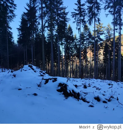 Mdx91 - Jak sie dobrze przyjrzec to widac budowana wieze na dzikowcu
#spierdotrip #an...